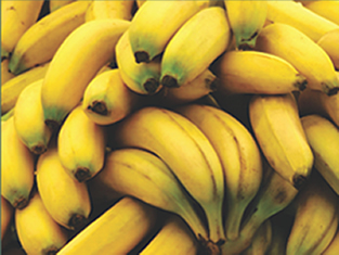 bananas2