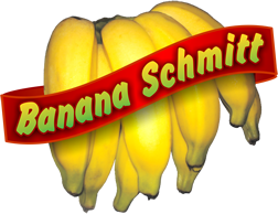 logo_schmitt